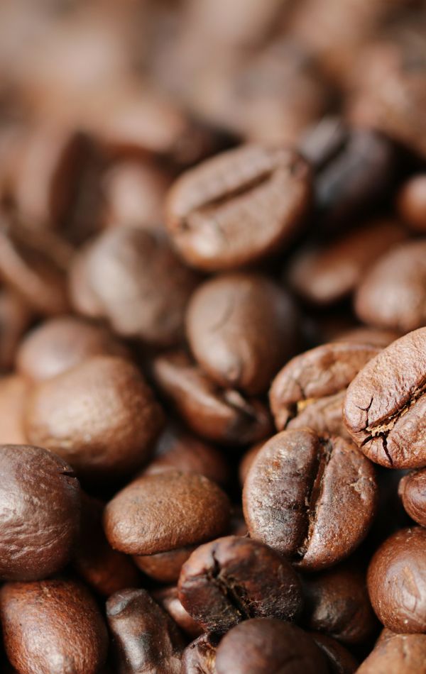 Industrial-coffee-machine-fresh-beans