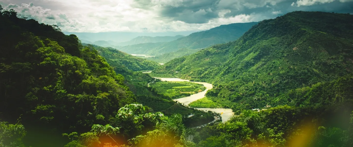 Article-One-Tree-Planted-Donation-2025-Landscape